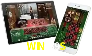 WIN889S